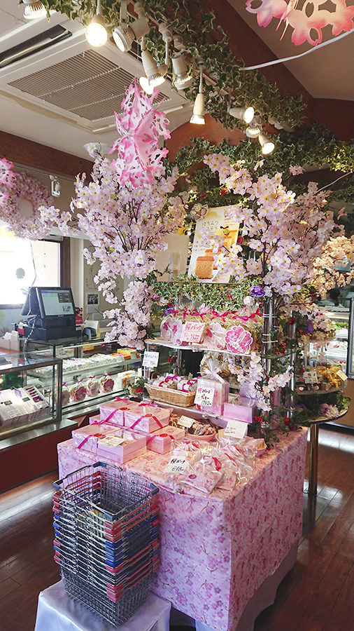 桜が満開 お菓子のお店kazuさん 美容室 Mars マーズ